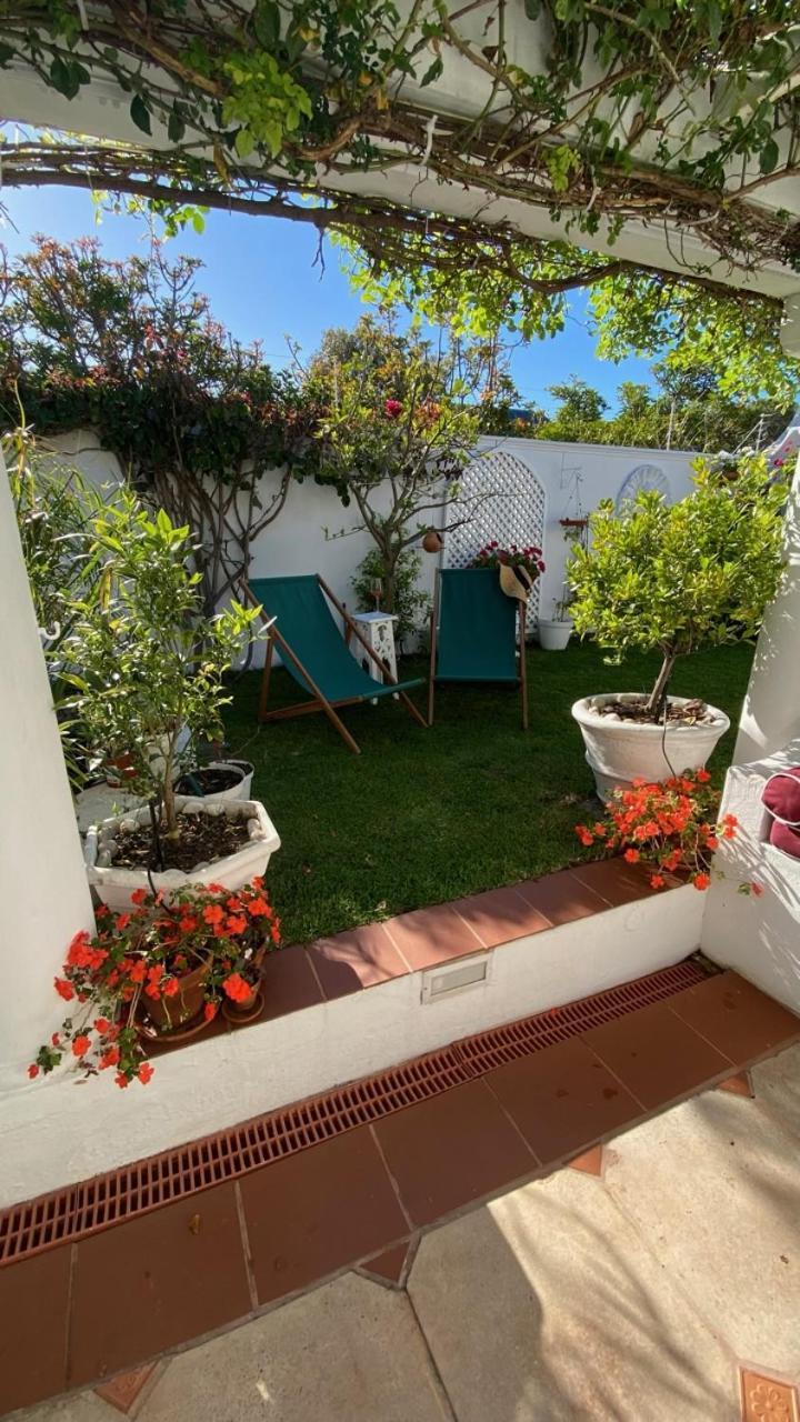 Our Hermanus House Екстер'єр фото